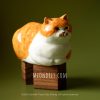 「橘子皮」貓咪｜手作雕塑｜orange cat sculpture  - Camille Ting