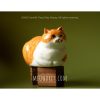「橘子皮」貓咪｜手作雕塑｜orange cat sculpture  - Camille Ting：圖片 6