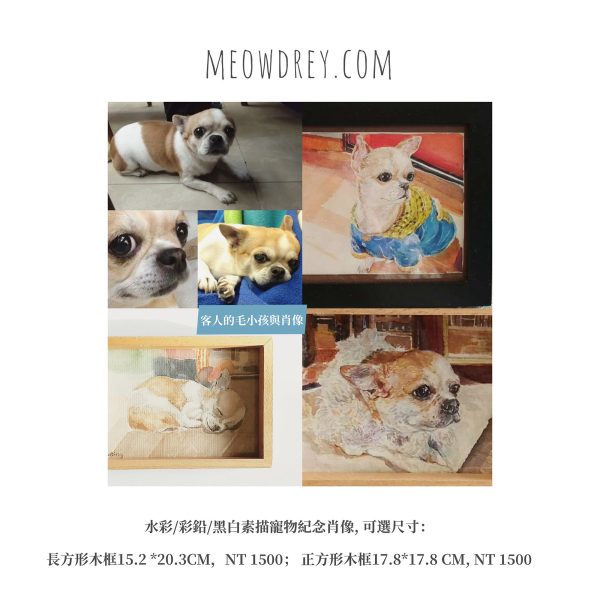 客製｜寵物紀念肖像｜水彩畫｜彩鉛｜素描｜Custom your own pet’s portrait - Camille Ting （喵黛麗）：圖片 4