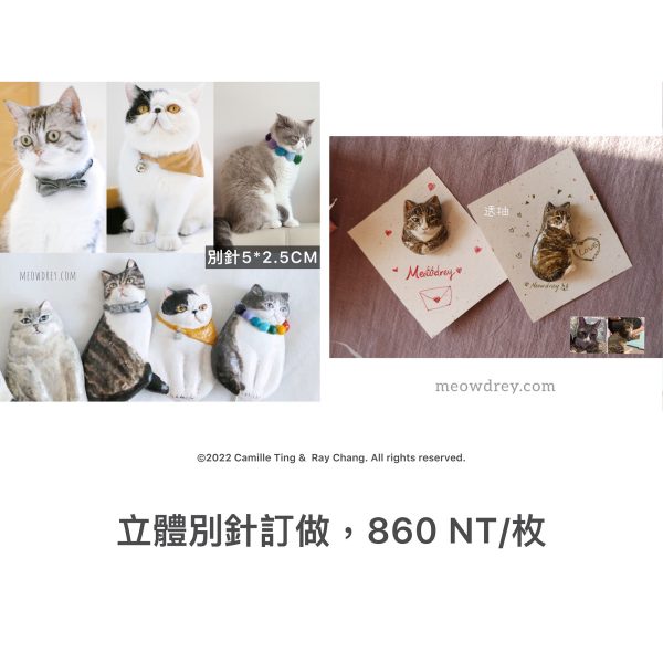 （立體別針）客製｜專屬｜寵物紀念別針｜純手工訂做 - Camille Ting （喵黛麗）：圖片 4