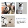 （立體別針）客製｜專屬｜寵物紀念別針｜純手工訂做 - Camille Ting （喵黛麗）：圖片 5