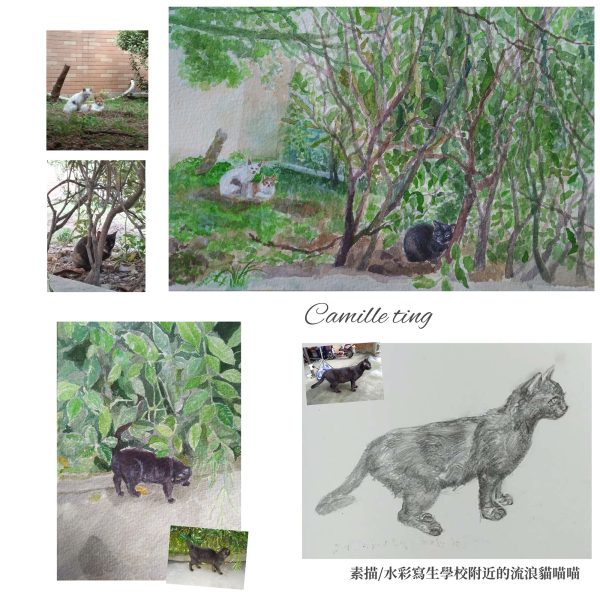 客製｜寵物紀念肖像｜水彩畫｜彩鉛｜素描｜Custom your own pet’s portrait - Camille Ting （喵黛麗）：圖片 8