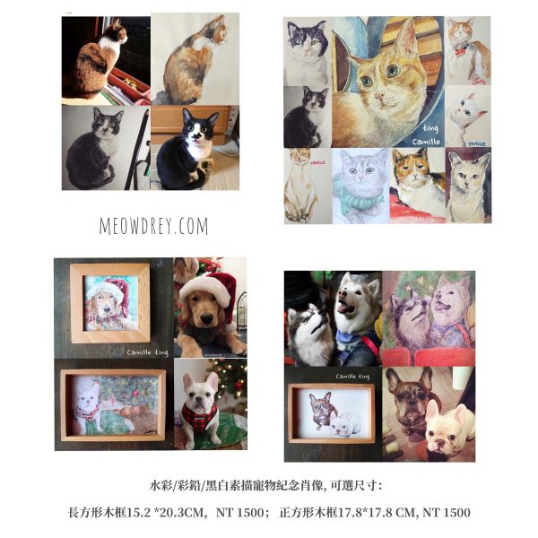 客製｜寵物紀念肖像｜水彩畫｜彩鉛｜素描｜Custom your own pet’s portrait - Camille Ting （喵黛麗）