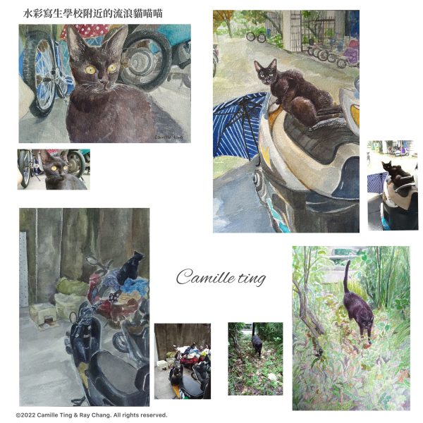 客製｜寵物紀念肖像｜水彩畫｜彩鉛｜素描｜Custom your own pet’s portrait - Camille Ting （喵黛麗）：圖片 6