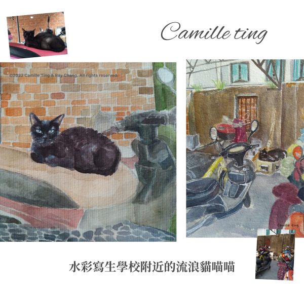 客製｜寵物紀念肖像｜水彩畫｜彩鉛｜素描｜Custom your own pet’s portrait - Camille Ting （喵黛麗）：圖片 7