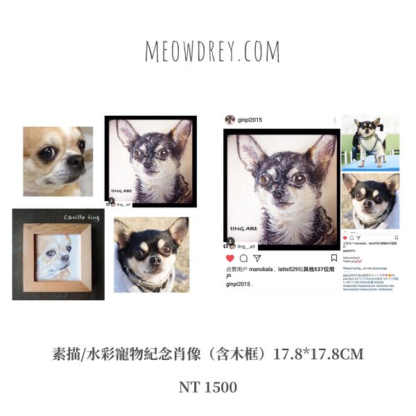 客製｜寵物紀念肖像｜水彩畫｜彩鉛｜素描｜Custom your own pet’s portrait - Camille Ting （喵黛麗）：圖片 2